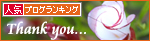 黒猫4匹腹ダンス_a0389088_17284461.jpg