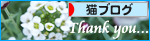 春を待つ猫_a0389088_17284618.jpg
