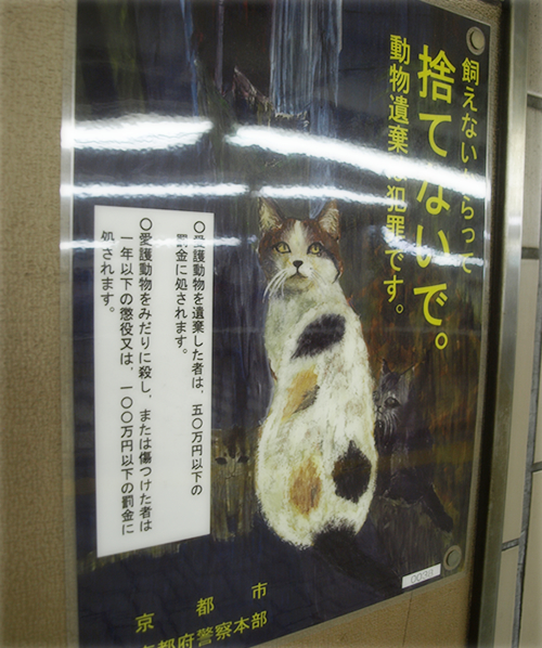 「生きづらさ」を癒す動物たち_a0389088_17292292.jpg
