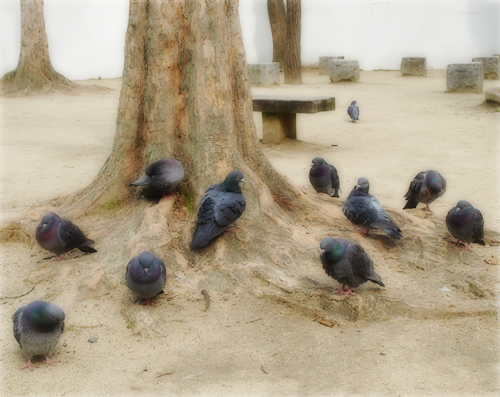 「生きづらさ」を癒す動物たち_a0389088_17292369.jpg