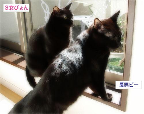 LOVE THE WORLD_a0389088_17293792.jpg