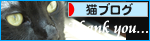 生きて…ハッピーバースデー_a0389088_17294269.jpg