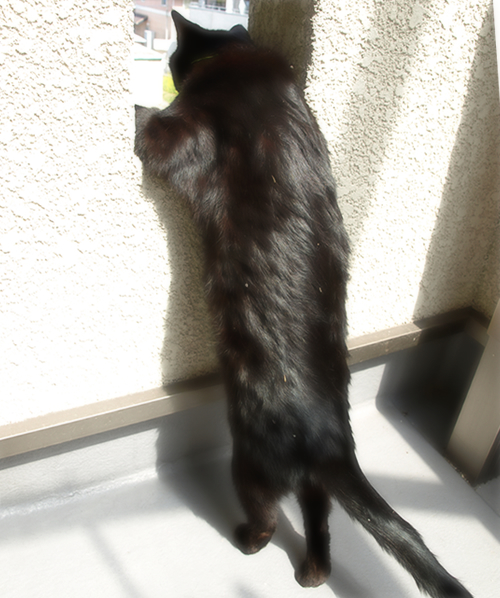 しあわせ探し_a0389088_17294684.jpg