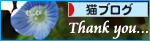 しあわせ探し_a0389088_17294741.jpg