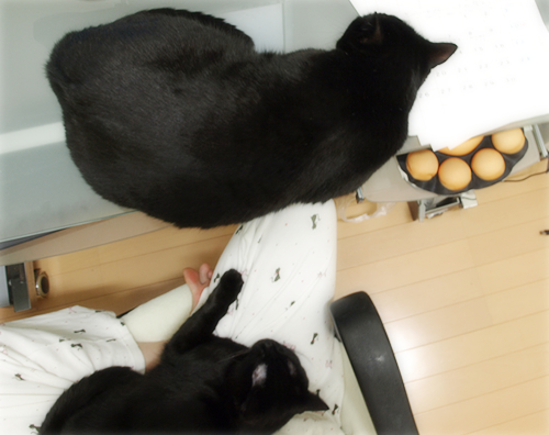 あまえたい夜_a0389088_17295603.jpg