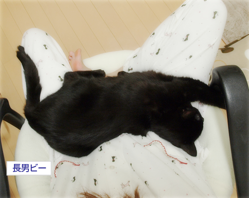 あまえたい夜_a0389088_17295606.jpg