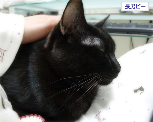 あまえたい夜_a0389088_17295651.jpg