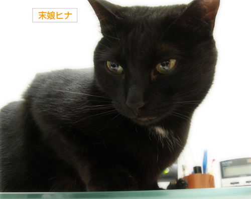 あまえたい夜_a0389088_17295682.jpg