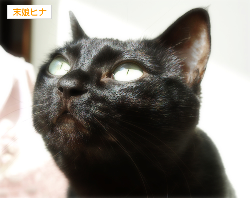しっぽ~まきまき♪_a0389088_17300313.jpg