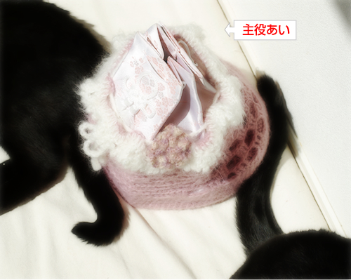 しっぽ~まきまき♪_a0389088_17300382.jpg