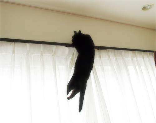 What's「どんくさい」_a0389088_17300423.jpg
