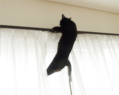 What's「どんくさい」_a0389088_17300442.jpg