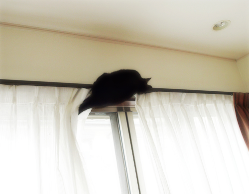 What's「どんくさい」_a0389088_17300496.jpg