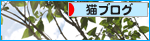 猫と木の不思議なオブジェ_a0389088_17300716.jpg