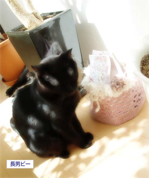 猫と木の不思議なオブジェ_a0389088_17300746.jpg