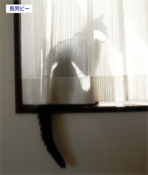 男道_a0389088_17301142.jpg