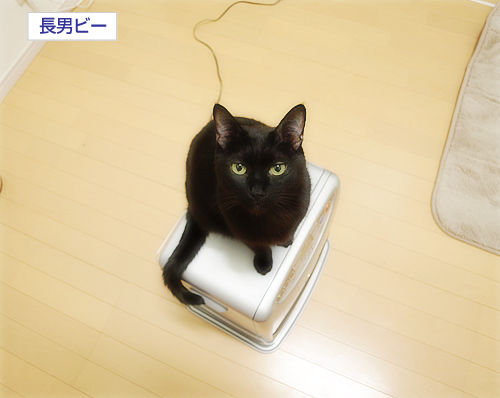 男道_a0389088_17301260.jpg