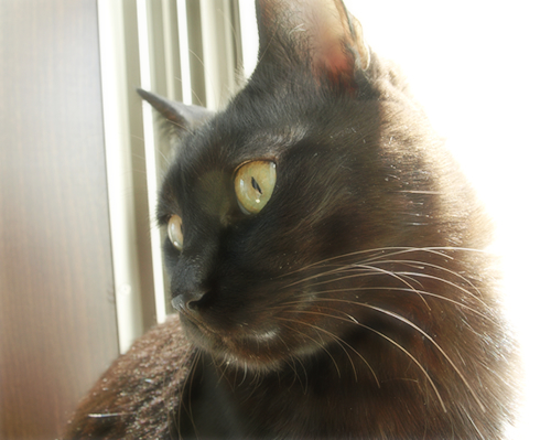 男道_a0389088_17301272.jpg