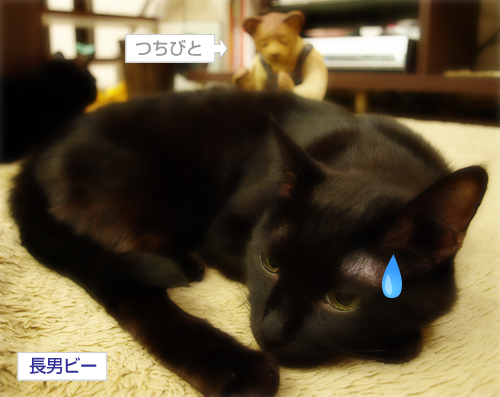 猫セクハラ_a0389088_17301382.jpg