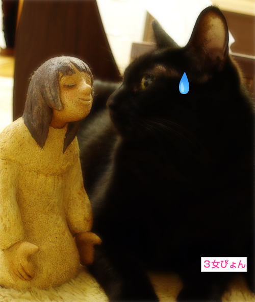 猫セクハラ_a0389088_17301416.jpg