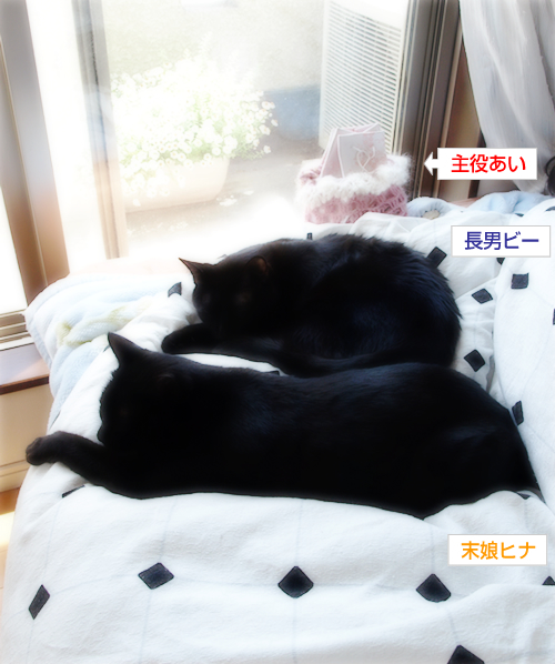 いつしか絆が…_a0389088_17301513.jpg