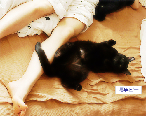 あまえるオヤジ_a0389088_17302108.jpg