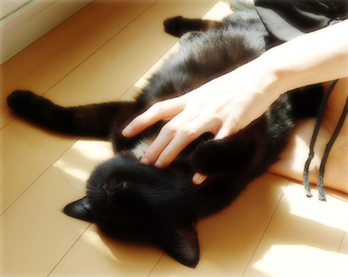 あまえるオヤジ_a0389088_17302167.jpg