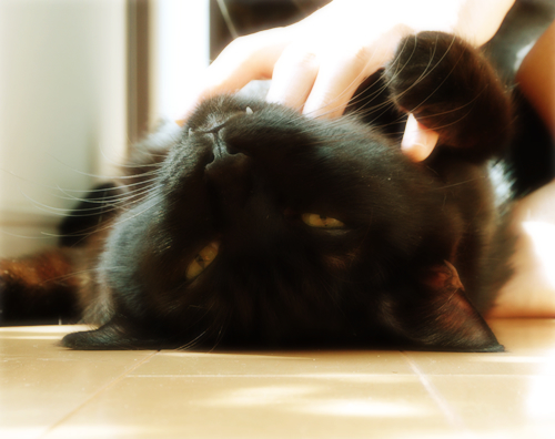 あまえるオヤジ_a0389088_17302202.jpg