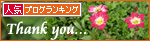 光射す道へ(生後2週間の子猫)_a0389088_17303375.jpg