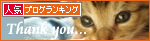 おっぱい探して…(生後2週間の子猫・家族募集)_a0389088_17303515.jpg