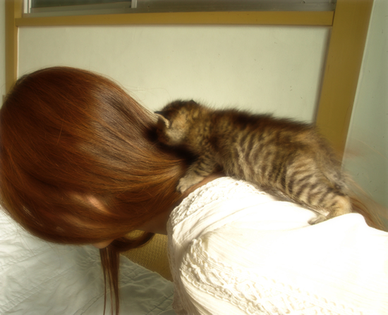 おっぱい探して…(生後2週間の子猫・家族募集)_a0389088_17303576.jpg