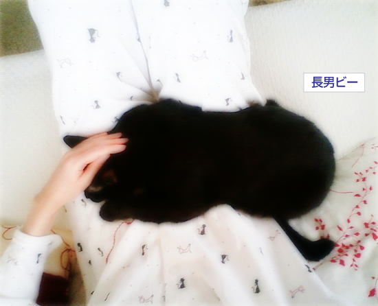 無念な男女比_a0389088_17305240.jpg