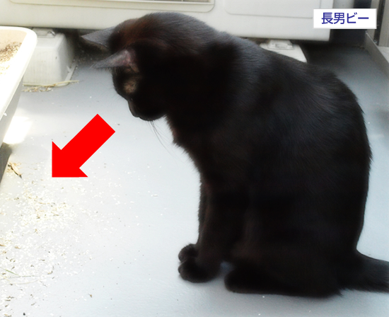 消えてしまった_a0389088_17305418.jpg