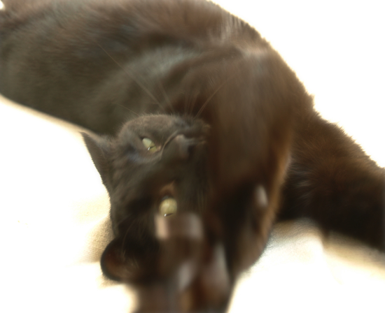 いつか思い出に_a0389088_17305549.jpg