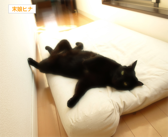 いつか思い出に_a0389088_17305583.jpg