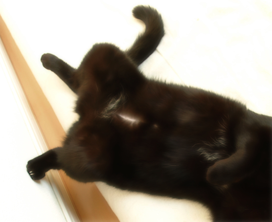 いつか思い出に_a0389088_17305585.jpg