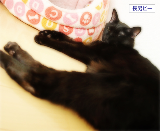 それでも高みにいく理由は_a0389088_17305621.jpg