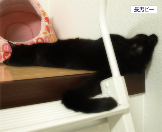 それでも高みにいく理由は_a0389088_17305691.jpg