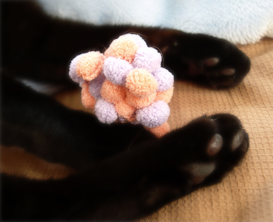 待つ猫_a0389088_17305792.jpg
