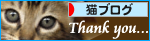 ひとりぼっちでも(生後2週間で捨てられていた乳飲み子猫)_a0389088_17310448.jpg