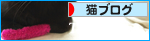 猫の抱くものは…_a0389088_17310918.jpg