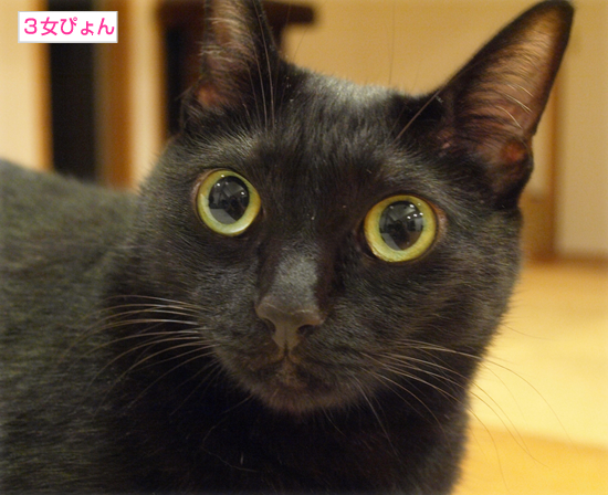 実は_a0389088_17311127.jpg