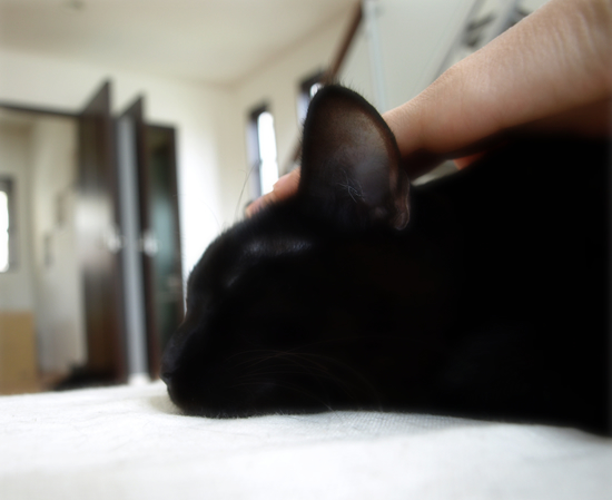 人の手_a0389088_17311156.jpg
