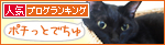 半年目_a0389088_17311185.jpg