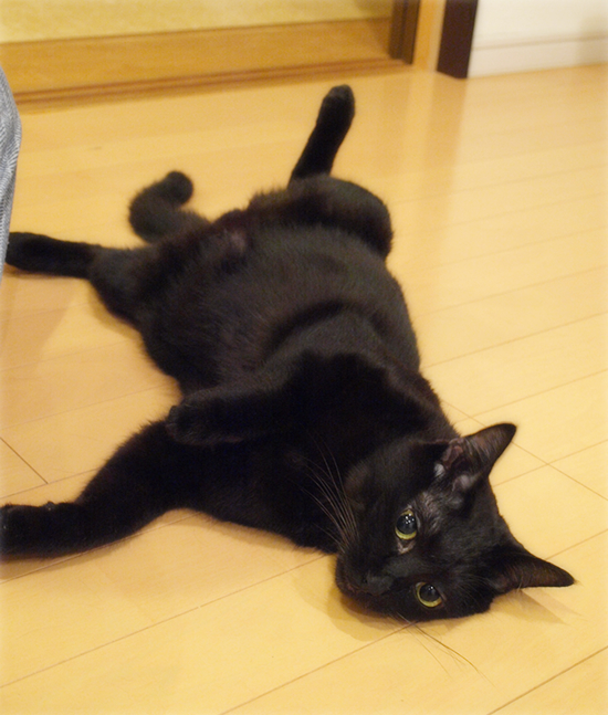 あまえたくて…_a0389088_17311244.jpg