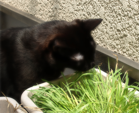 あまえたくて…_a0389088_17311329.jpg