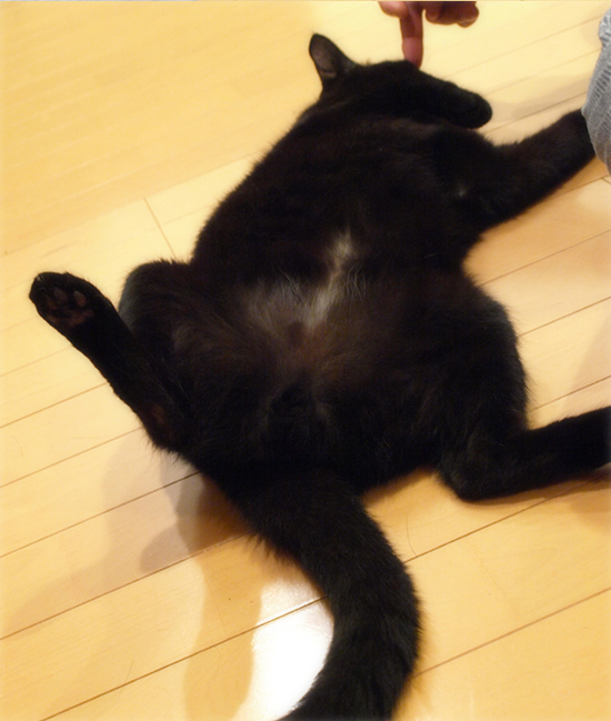あまえたくて…_a0389088_17311345.jpg