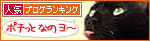 猫サロン_a0389088_17311549.jpg