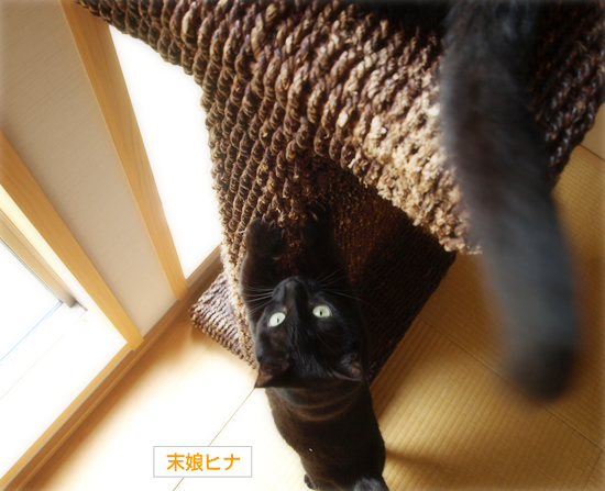 年をとるということ_a0389088_17311607.jpg
