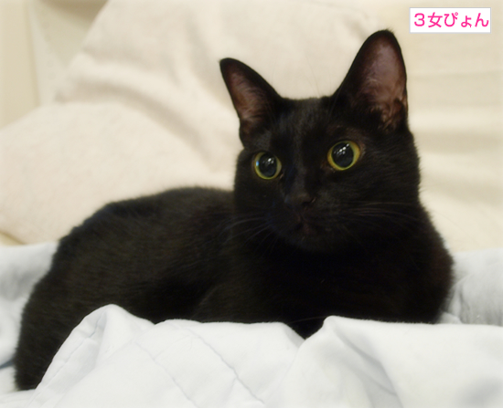 ひとりよがり_a0389088_17311789.jpg